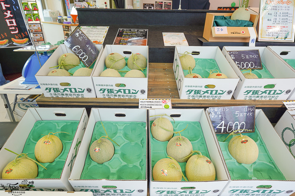 北海道夕張哈蜜瓜吃到飽｜JA夕張市 メロンドーム｜JA Yubari City Melon Dome，預約制夕張哈蜜瓜放題 @緹雅瑪 美食旅遊趣