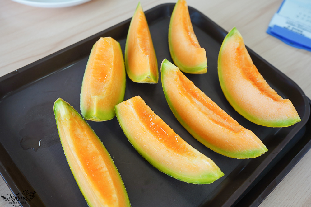 北海道夕張哈蜜瓜吃到飽｜JA夕張市 メロンドーム｜JA Yubari City Melon Dome，預約制夕張哈蜜瓜放題 @緹雅瑪 美食旅遊趣