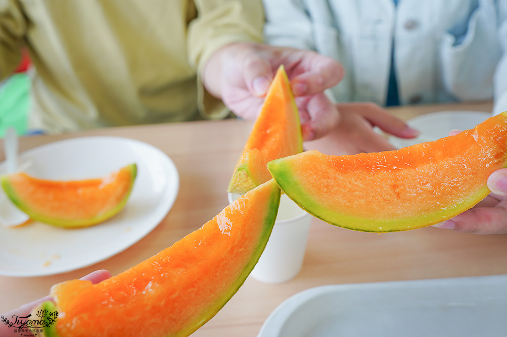 北海道夕張哈蜜瓜吃到飽｜JA夕張市 メロンドーム｜JA Yubari City Melon Dome，預約制夕張哈蜜瓜放題 @緹雅瑪 美食旅遊趣
