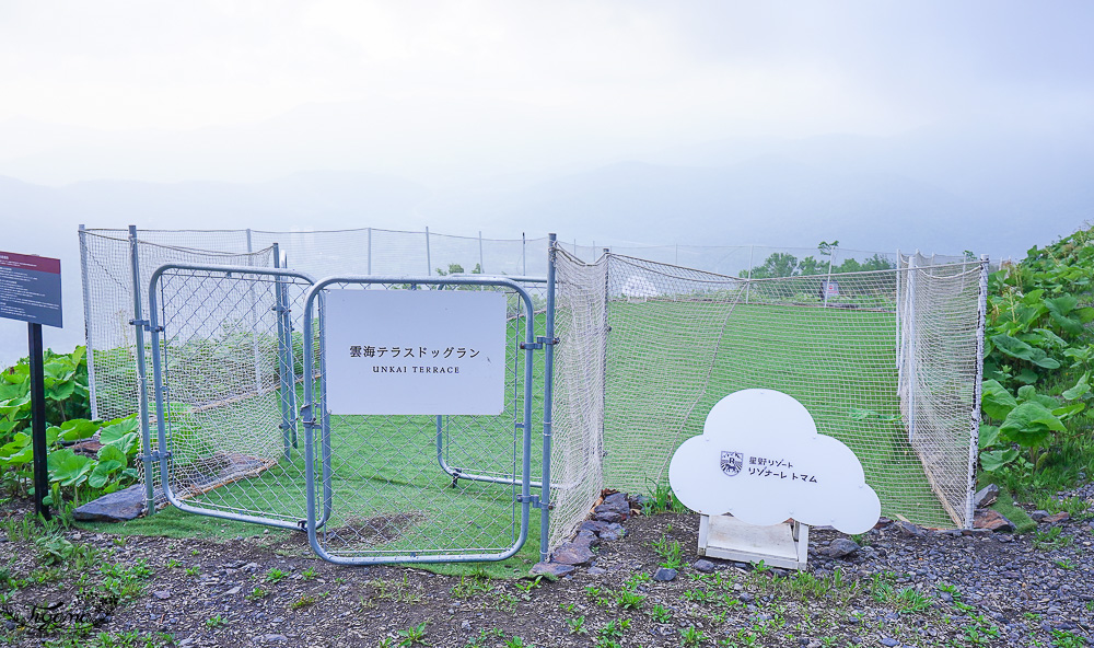 雲海平台20週年慶，全新第7個Cloud Round展望區，雲Cafe、雲之郵局、雲海纜車，入住星野TOMAMU度假村免費搭乘雲海纜車 @緹雅瑪 美食旅遊趣