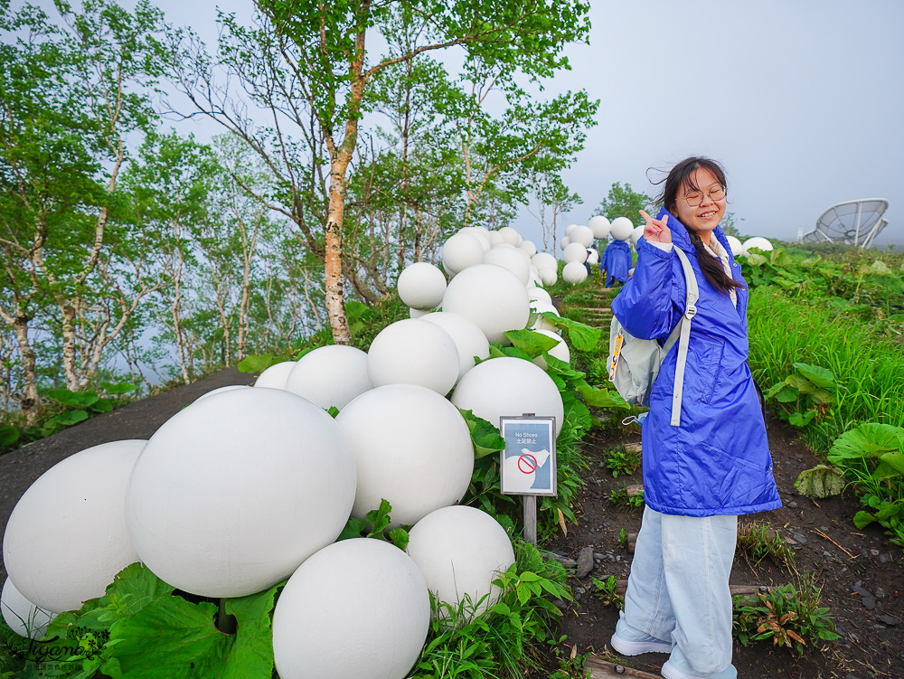 雲海平台20週年慶，全新第7個Cloud Round展望區，雲Cafe、雲之郵局、雲海纜車，入住星野TOMAMU度假村免費搭乘雲海纜車 @緹雅瑪 美食旅遊趣
