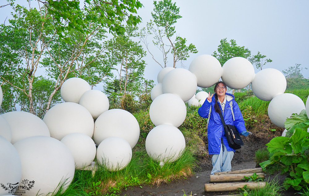 雲海平台20週年慶，全新第7個Cloud Round展望區，雲Cafe、雲之郵局、雲海纜車，入住星野TOMAMU度假村免費搭乘雲海纜車 @緹雅瑪 美食旅遊趣