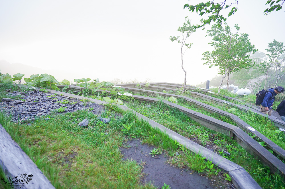 雲海平台20週年慶，全新第7個Cloud Round展望區，雲Cafe、雲之郵局、雲海纜車，入住星野TOMAMU度假村免費搭乘雲海纜車 @緹雅瑪 美食旅遊趣