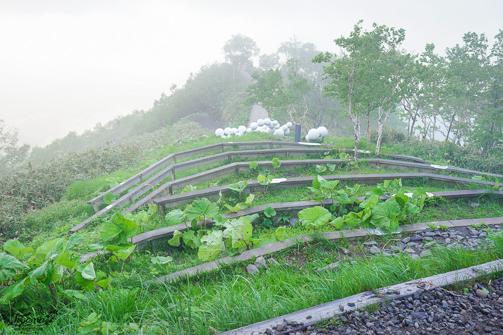 雲海平台20週年慶，全新第7個Cloud Round展望區，雲Cafe、雲之郵局、雲海纜車，入住星野TOMAMU度假村免費搭乘雲海纜車 @緹雅瑪 美食旅遊趣