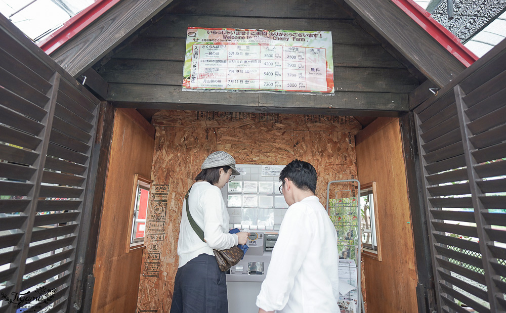 北海道採櫻桃吃到飽「大橋櫻桃果園」現採現吃櫻桃放題！！北海道採果樂實現櫻桃自由 @緹雅瑪 美食旅遊趣
