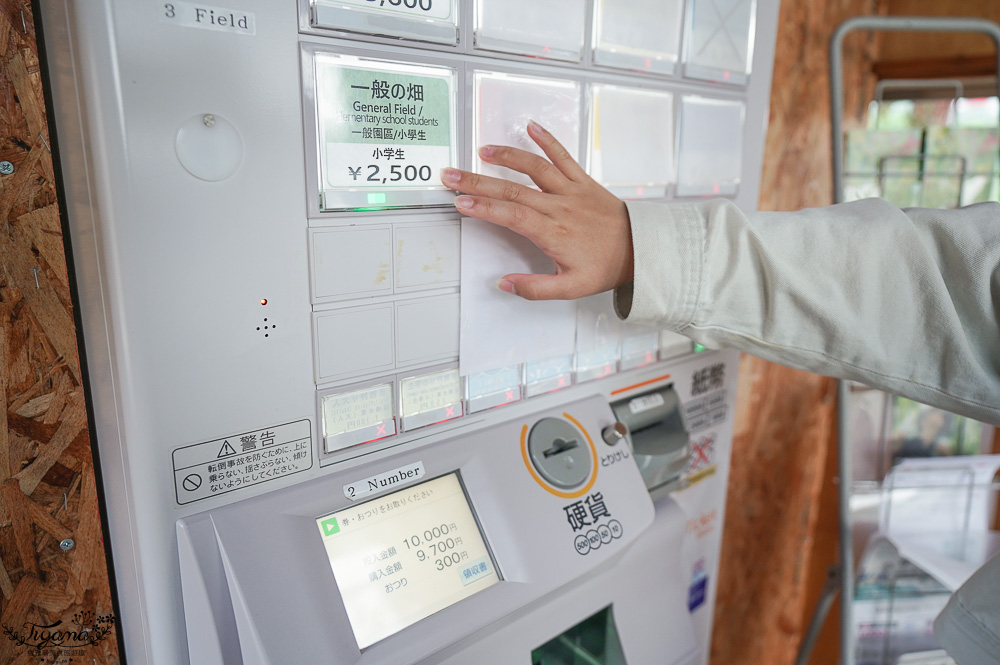 北海道採櫻桃吃到飽「大橋櫻桃果園」現採現吃櫻桃放題！！北海道採果樂實現櫻桃自由 @緹雅瑪 美食旅遊趣