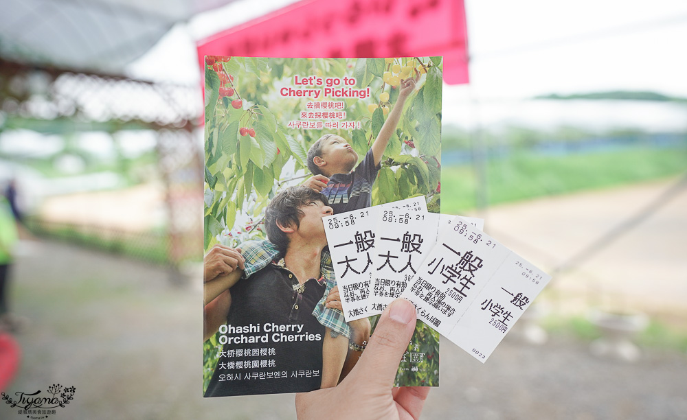 北海道採櫻桃吃到飽「大橋櫻桃果園」現採現吃櫻桃放題！！北海道採果樂實現櫻桃自由 @緹雅瑪 美食旅遊趣