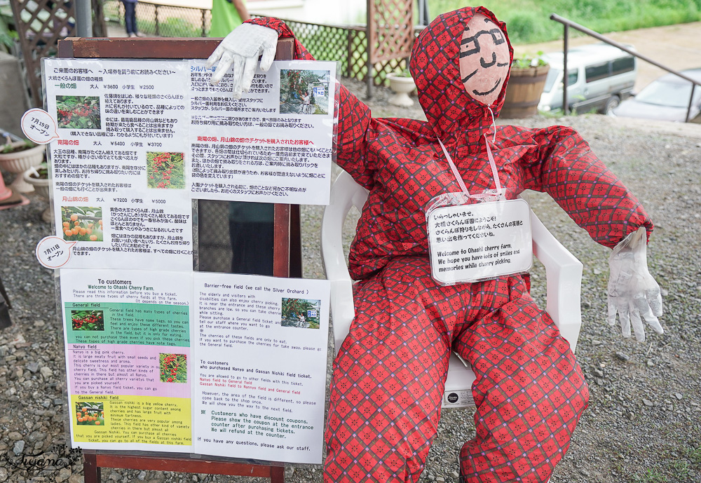 北海道採櫻桃吃到飽「大橋櫻桃果園」現採現吃櫻桃放題！！北海道採果樂實現櫻桃自由 @緹雅瑪 美食旅遊趣