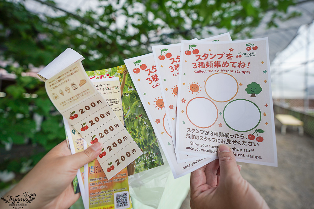 北海道採櫻桃吃到飽「大橋櫻桃果園」現採現吃櫻桃放題！！北海道採果樂實現櫻桃自由 @緹雅瑪 美食旅遊趣