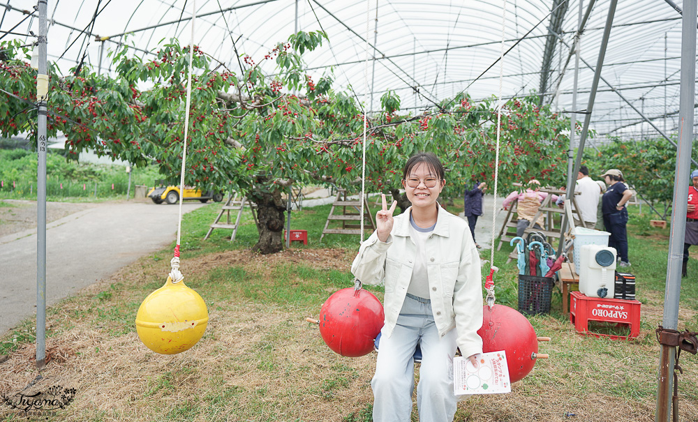 北海道採櫻桃吃到飽「大橋櫻桃果園」現採現吃櫻桃放題！！北海道採果樂實現櫻桃自由 @緹雅瑪 美食旅遊趣