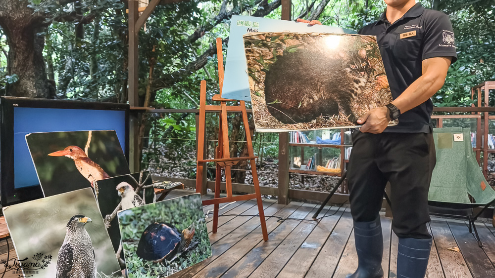 石垣島住宿推薦「星野集團 西表島飯店」世界自然遺產島嶼與珍稀野生動物共存的渡假勝地 @緹雅瑪 美食旅遊趣