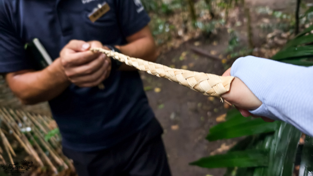 石垣島住宿推薦「星野集團 西表島飯店」世界自然遺產島嶼與珍稀野生動物共存的渡假勝地 @緹雅瑪 美食旅遊趣