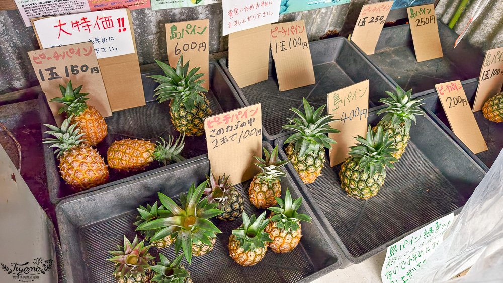石垣島住宿推薦「星野集團 西表島飯店」世界自然遺產島嶼與珍稀野生動物共存的渡假勝地 @緹雅瑪 美食旅遊趣