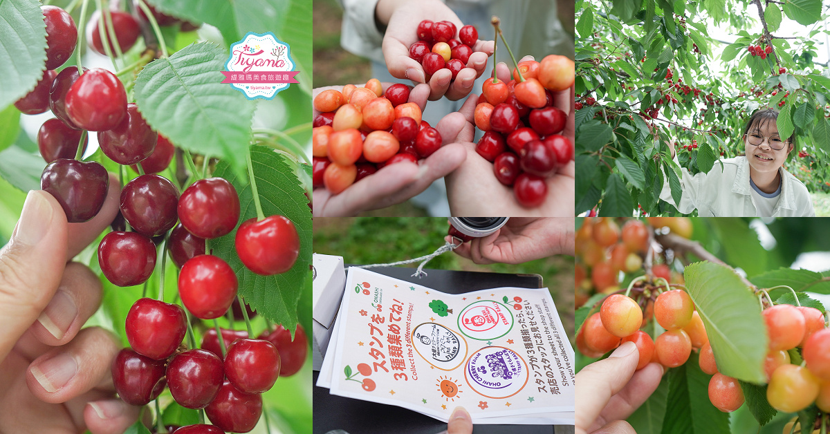 北海道自由行8天7夜.租車自駕行程：北海道星野度假村玩3天 + 美瑛、富良野、旭川、札幌、苫小牧玩透透！！ @緹雅瑪 美食旅遊趣