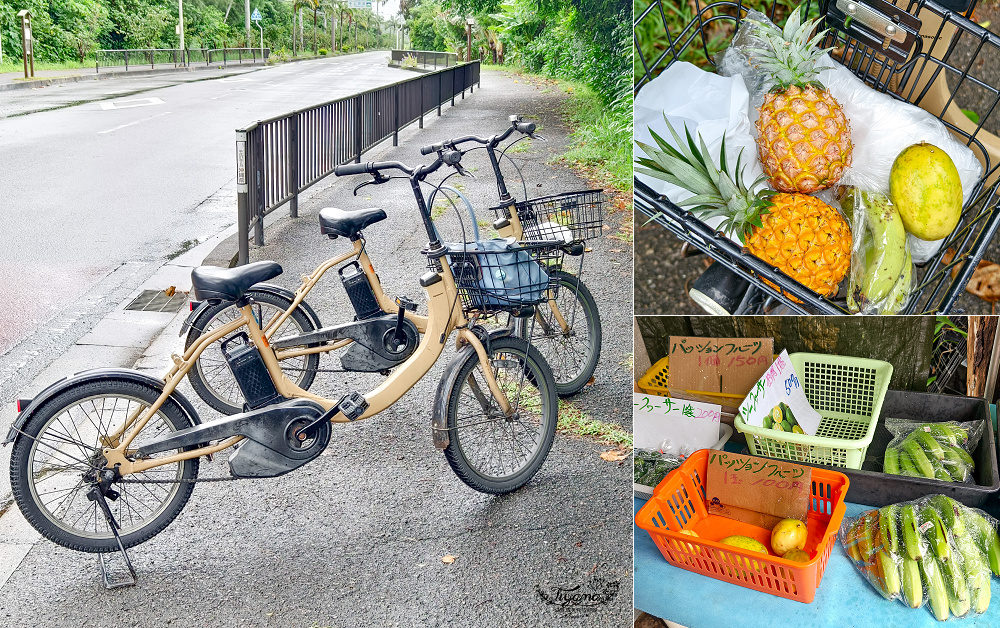 石垣島住宿推薦「星野集團 西表島飯店」世界自然遺產島嶼與珍稀野生動物共存的渡假勝地 @緹雅瑪 美食旅遊趣