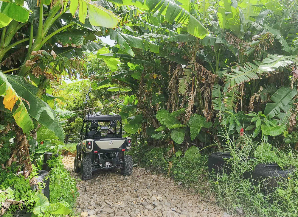 JUNGLIA OKINAWA攻略.門票.交通｜各項項遊樂設施｜3間美食餐廳｜歡迎來到侏羅紀叢林樂園 @緹雅瑪 美食旅遊趣