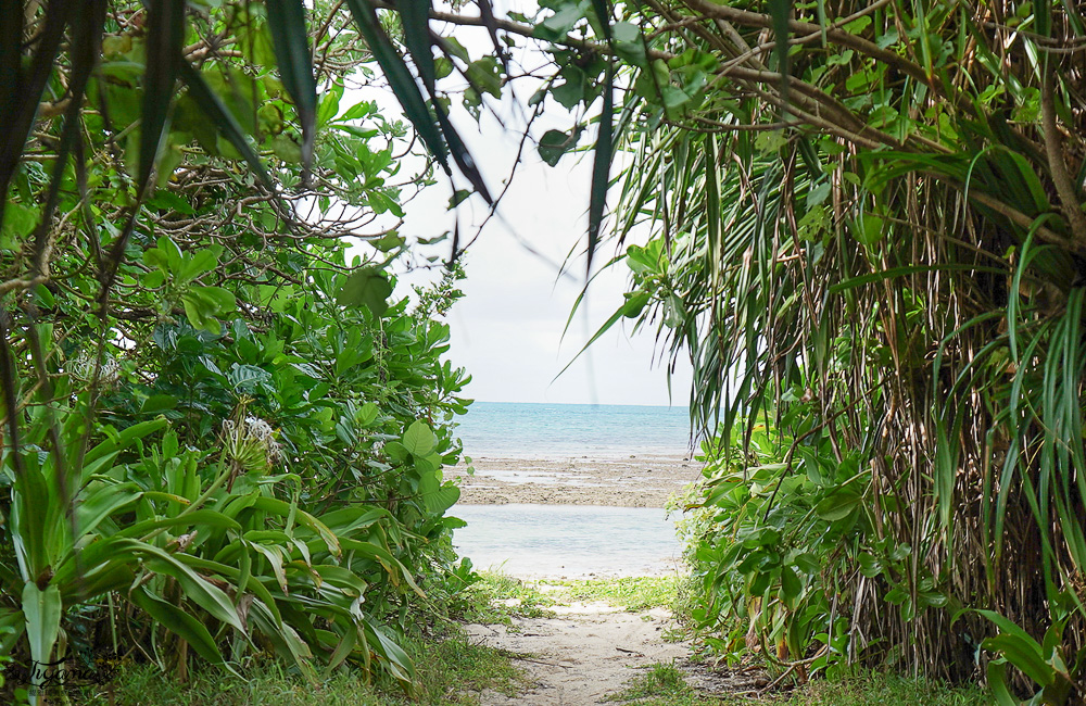 竹富島奢華住宿｜虹夕諾雅 竹富島 一泊二食極緻享受！！來去宛如與世隔絕般的南方小島住一晚 @緹雅瑪 美食旅遊趣
