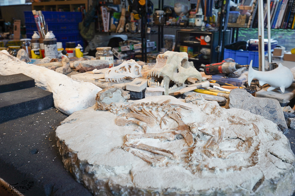 新北住宿度假村推薦「大板根森林溫泉酒店」2025全新觀景溫泉別墅｜恐龍森林夏令營｜古生物實驗室｜太子西餐廳自助餐｜麗宴中餐廳 @緹雅瑪 美食旅遊趣