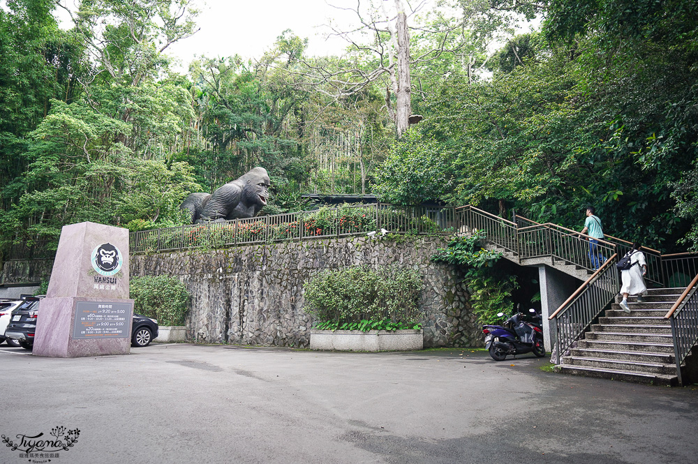 新北住宿度假村推薦「大板根森林溫泉酒店」2025全新觀景溫泉別墅｜恐龍森林夏令營｜古生物實驗室｜太子西餐廳自助餐｜麗宴中餐廳 @緹雅瑪 美食旅遊趣