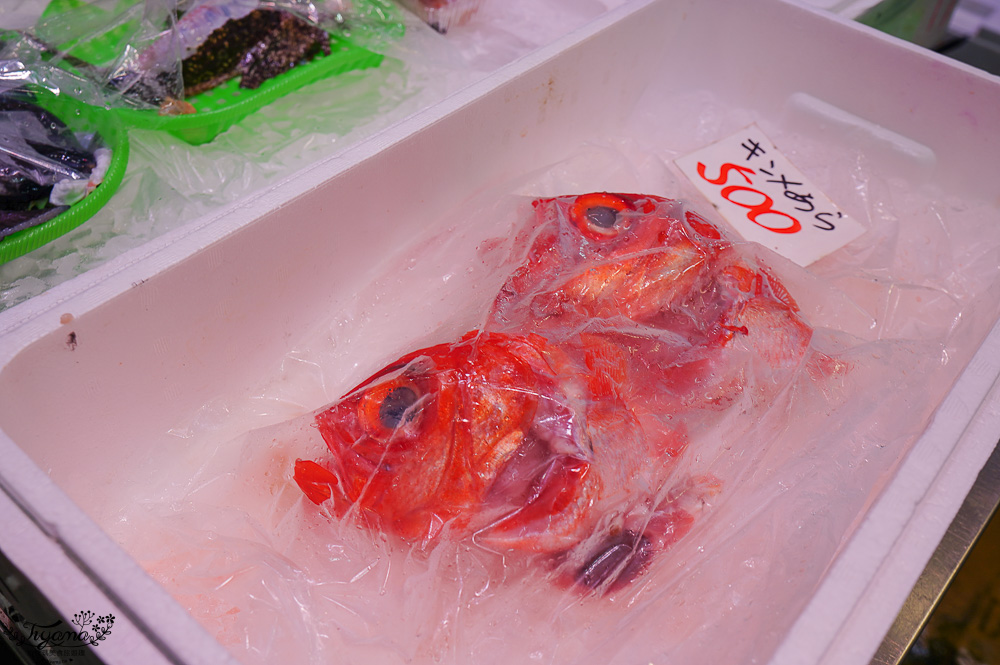 唐戶市場就是要假日來！浮誇海鮮壽司、海鮮丼、吃河豚生魚片｜下關景點｜下關美食 @緹雅瑪 美食旅遊趣