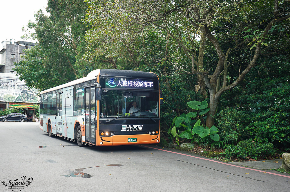 新北住宿度假村推薦「大板根森林溫泉酒店」2025全新觀景溫泉別墅｜恐龍森林夏令營｜古生物實驗室｜太子西餐廳自助餐｜麗宴中餐廳 @緹雅瑪 美食旅遊趣