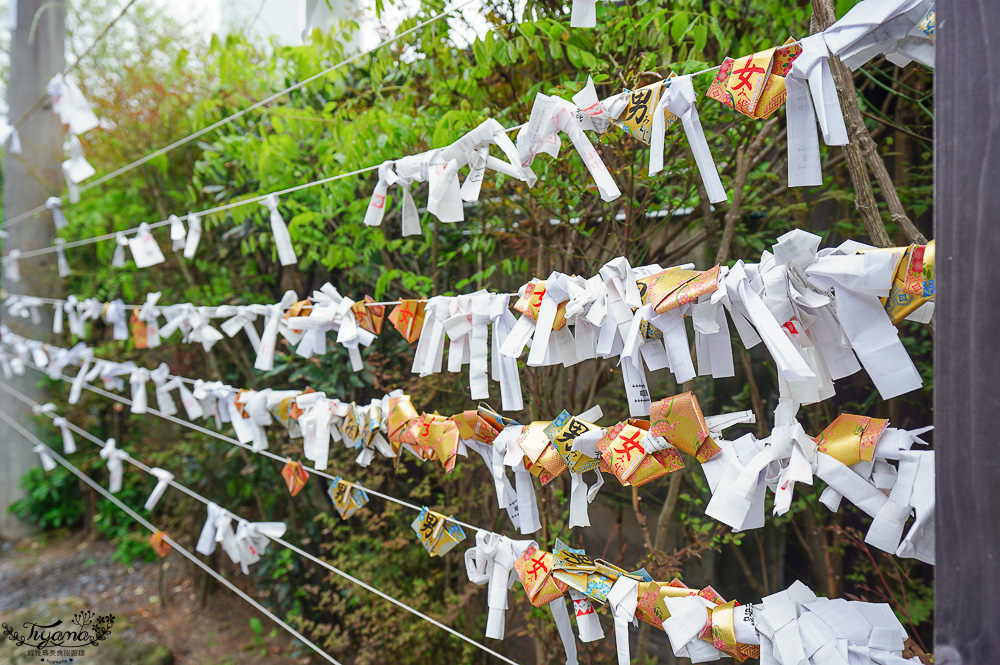 九州門司港景點｜可愛河豚神籤「和布刈神社」，九州最北邊的海景神社，關門海峽旁面海絕美景色的小巧神社 @緹雅瑪 美食旅遊趣