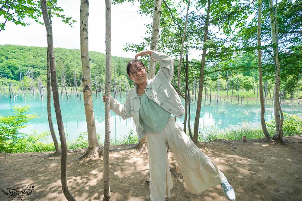北海道美瑛｜白金青池：絕美青藍人池，美瑛知名人氣景點 @緹雅瑪 美食旅遊趣