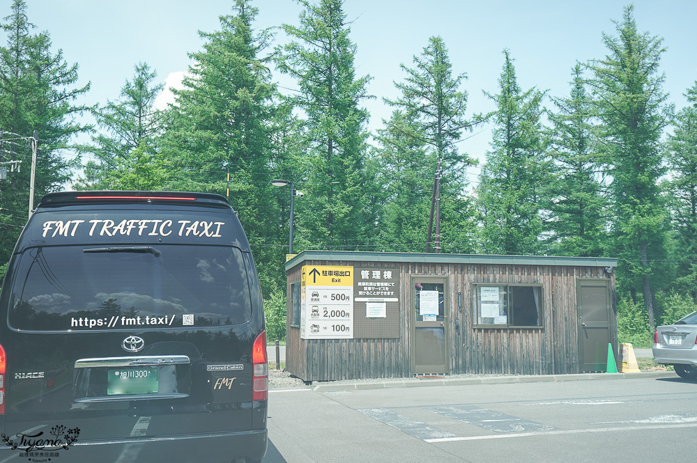 北海道美瑛｜白金青池：絕美青藍人池，美瑛知名人氣景點 @緹雅瑪 美食旅遊趣