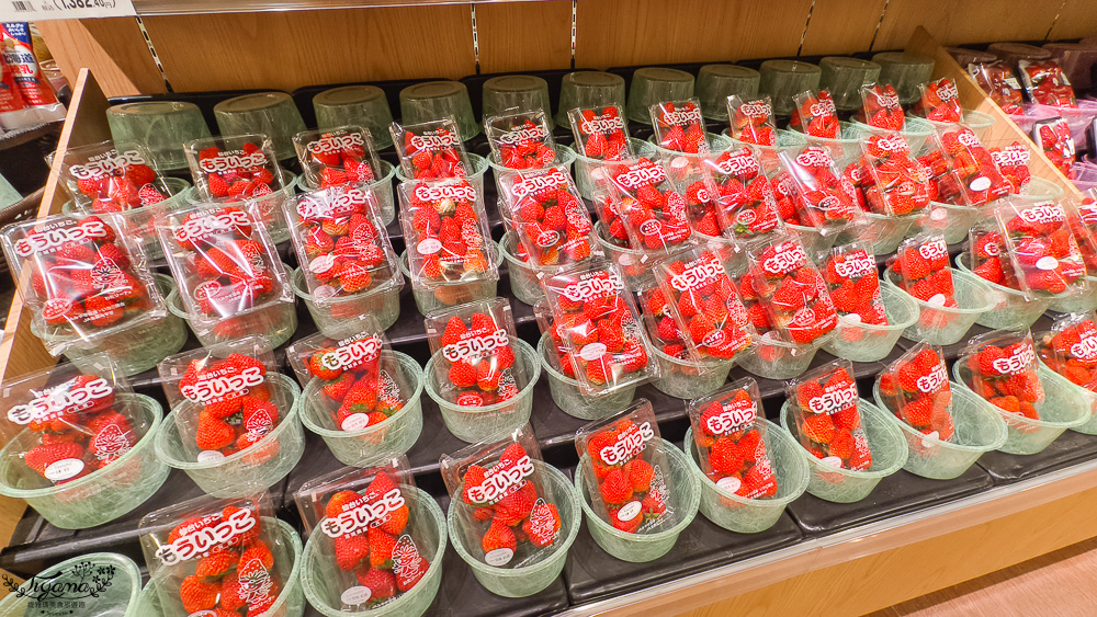 北海道超市 COCONO SUSUKINO B2超市「Daiichi Susukino branch」：薄野Nikka威士忌鬍子大叔對面的大型超市 @緹雅瑪 美食旅遊趣