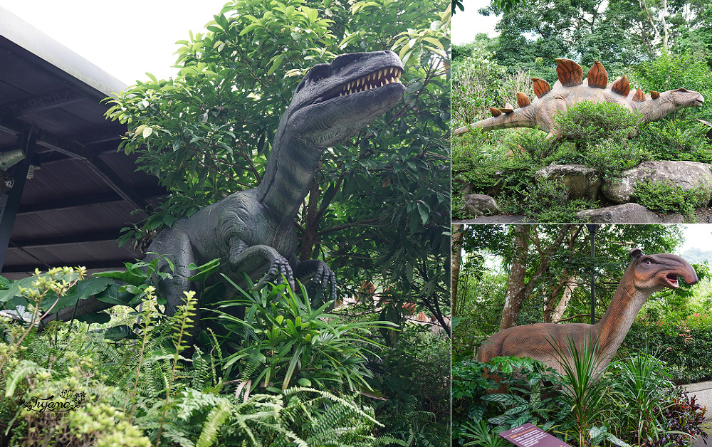 新北住宿度假村推薦「大板根森林溫泉酒店」2025全新觀景溫泉別墅｜恐龍森林夏令營｜古生物實驗室｜太子西餐廳自助餐｜麗宴中餐廳 @緹雅瑪 美食旅遊趣