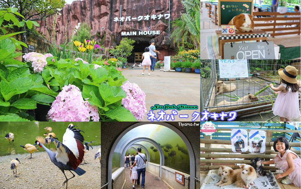 沖繩景點「名護自然動植物公園」親子必遊！絕美天然大鳥園、遊園小火車、水豚君.小動物近距離互動 @緹雅瑪 美食旅遊趣