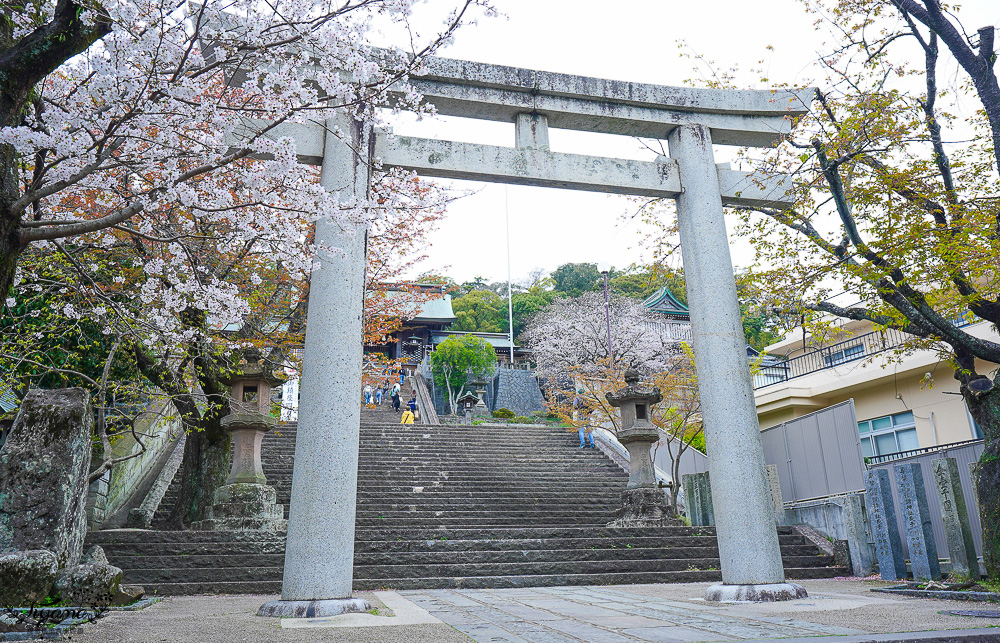 長崎諏訪神社｜長崎人氣神社「鎮西大社 諏訪神社」：避邪、尋覓愛情(月老)、洗錢神社，旁邊還有長崎公園免費動物園 @緹雅瑪 美食旅遊趣