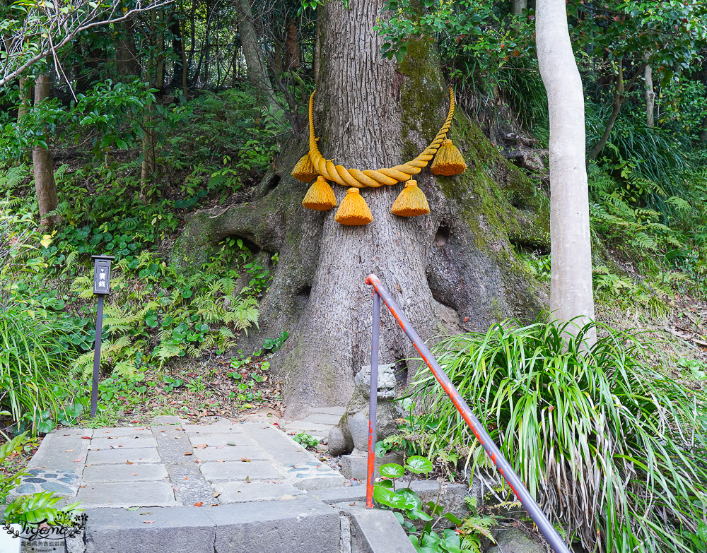 長崎諏訪神社｜長崎人氣神社「鎮西大社 諏訪神社」：避邪、尋覓愛情(月老)、洗錢神社，旁邊還有長崎公園免費動物園 @緹雅瑪 美食旅遊趣