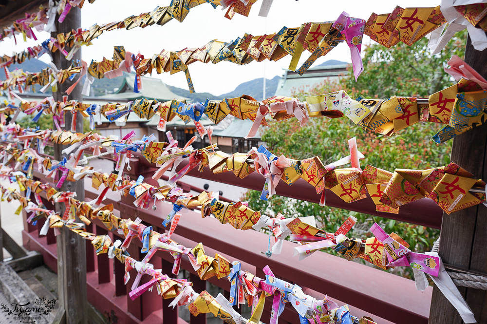 長崎諏訪神社｜長崎人氣神社「鎮西大社 諏訪神社」：避邪、尋覓愛情(月老)、洗錢神社，旁邊還有長崎公園免費動物園 @緹雅瑪 美食旅遊趣
