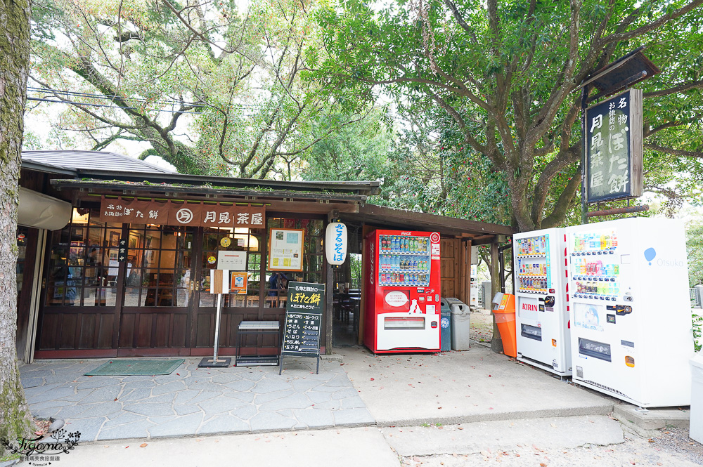 長崎諏訪神社｜長崎人氣神社「鎮西大社 諏訪神社」：避邪、尋覓愛情(月老)、洗錢神社，旁邊還有長崎公園免費動物園 @緹雅瑪 美食旅遊趣