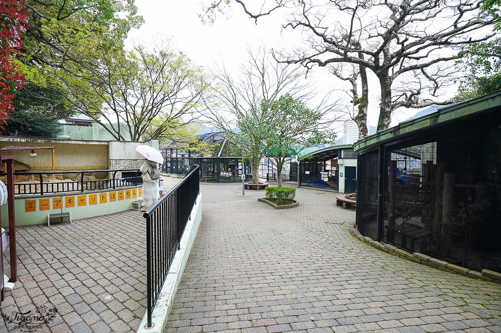 長崎諏訪神社｜長崎人氣神社「鎮西大社 諏訪神社」：避邪、尋覓愛情(月老)、洗錢神社，旁邊還有長崎公園免費動物園 @緹雅瑪 美食旅遊趣