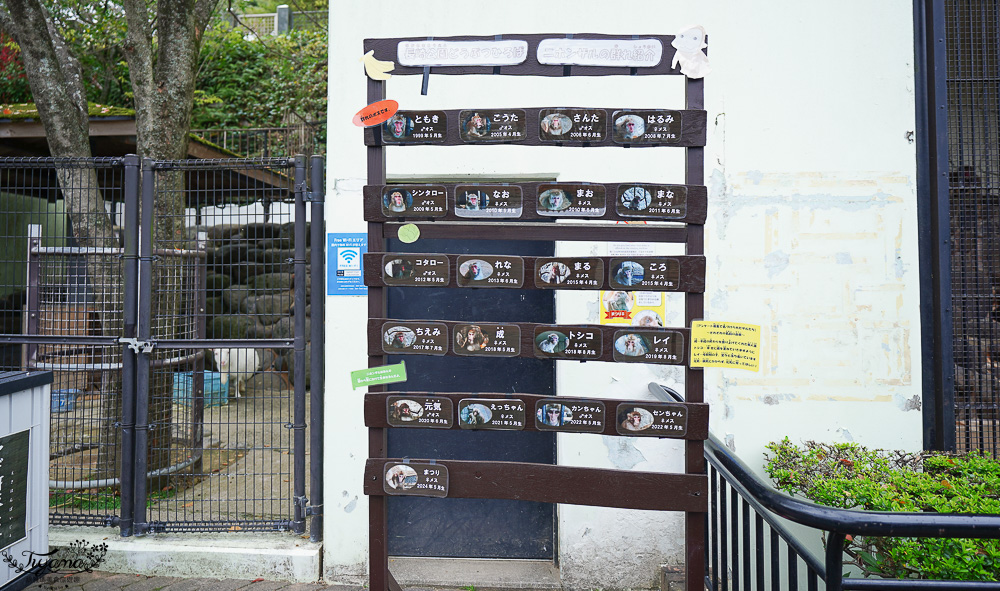 長崎諏訪神社｜長崎人氣神社「鎮西大社 諏訪神社」：避邪、尋覓愛情(月老)、洗錢神社，旁邊還有長崎公園免費動物園 @緹雅瑪 美食旅遊趣