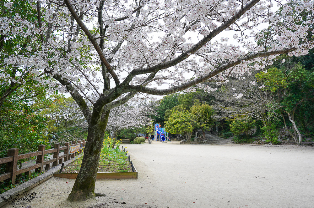 長崎諏訪神社｜長崎人氣神社「鎮西大社 諏訪神社」：避邪、尋覓愛情(月老)、洗錢神社，旁邊還有長崎公園免費動物園 @緹雅瑪 美食旅遊趣