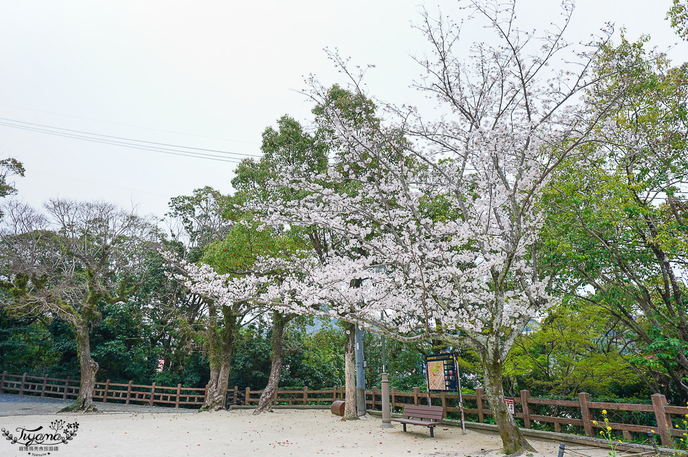 長崎諏訪神社｜長崎人氣神社「鎮西大社 諏訪神社」：避邪、尋覓愛情(月老)、洗錢神社，旁邊還有長崎公園免費動物園 @緹雅瑪 美食旅遊趣