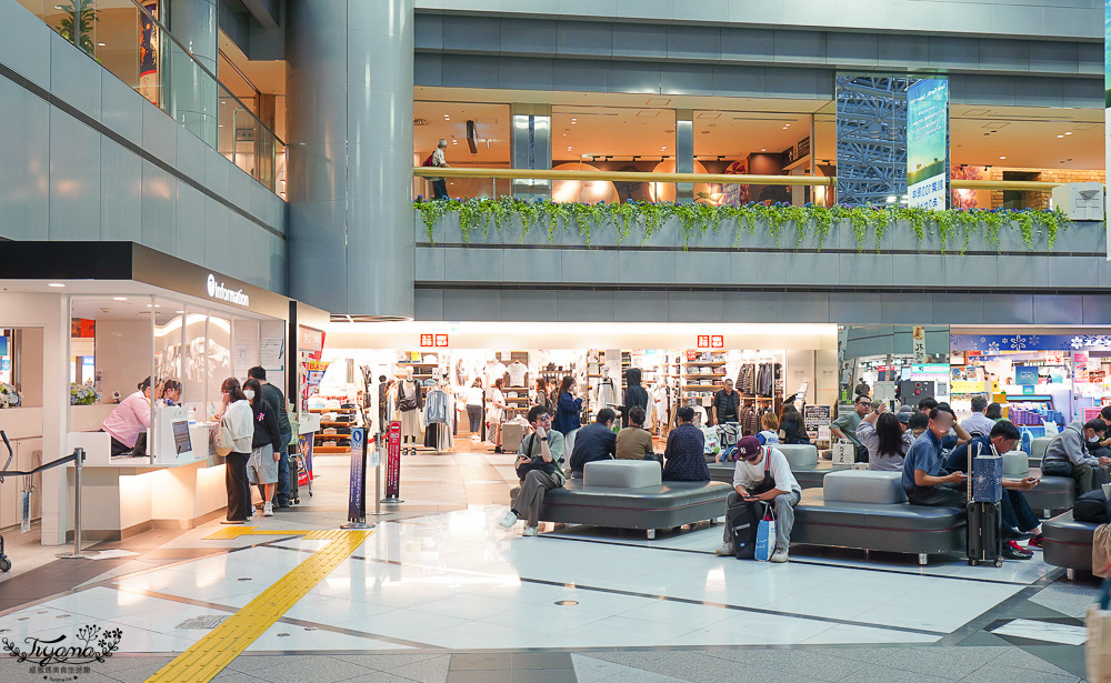 新千歲國內機場美食｜KINOTOYA霜淇淋｜札幌農場 牛奶起士蛋糕｜寶可夢商店｜新千歲國內機場2樓人氣甜點 @緹雅瑪 美食旅遊趣