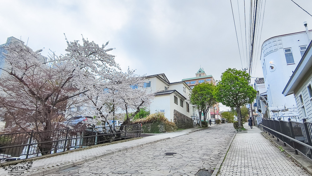 北海道函館元町散步路線！！元町教堂群散策之旅，太好拍了~享受慢活的異國氛圍 @緹雅瑪 美食旅遊趣