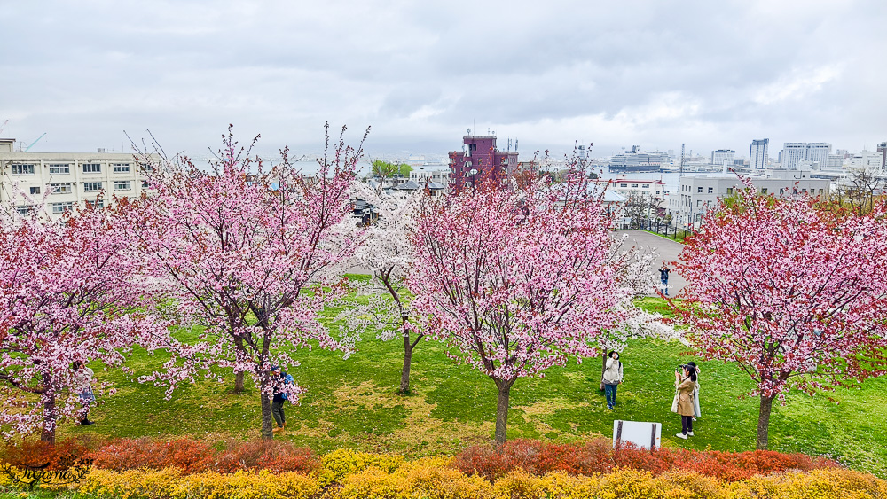 北海道函館元町散步路線！！元町教堂群散策之旅，太好拍了~享受慢活的異國氛圍 @緹雅瑪 美食旅遊趣
