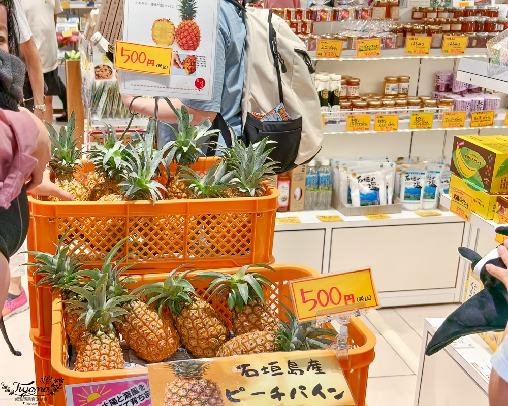 新石垣機場到市區交通｜新石垣機場伴手禮商店：1樓整層伴手禮土特產逛不完！新石垣機場&harr;︎石垣港交通 @緹雅瑪 美食旅遊趣