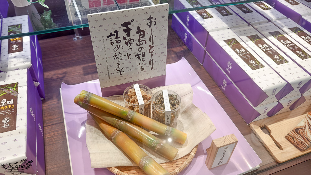 新石垣機場到市區交通｜新石垣機場伴手禮商店：1樓整層伴手禮土特產逛不完！新石垣機場&harr;︎石垣港交通 @緹雅瑪 美食旅遊趣