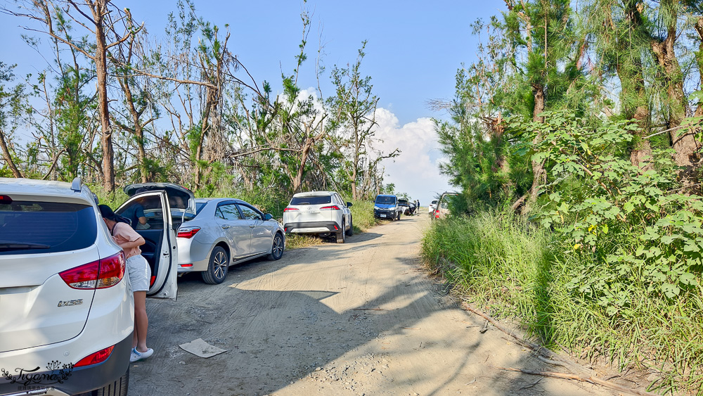 台南挖蛤蜊景點｜免費挖蛤蜊期間限定，台南北門雙春海岸線野生蛤蜊大爆發！！ @緹雅瑪 美食旅遊趣