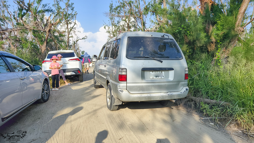 台南挖蛤蜊景點｜免費挖蛤蜊期間限定，台南北門雙春海岸線野生蛤蜊大爆發！！ @緹雅瑪 美食旅遊趣
