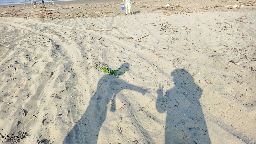 台南挖蛤蜊景點｜免費挖蛤蜊期間限定，台南北門雙春海岸線野生蛤蜊大爆發！！ @緹雅瑪 美食旅遊趣