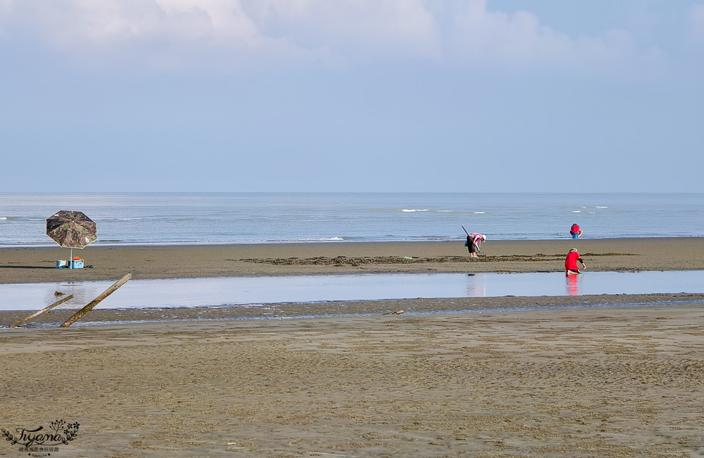 台南挖蛤蜊景點｜免費挖蛤蜊期間限定，台南北門雙春海岸線野生蛤蜊大爆發！！ @緹雅瑪 美食旅遊趣
