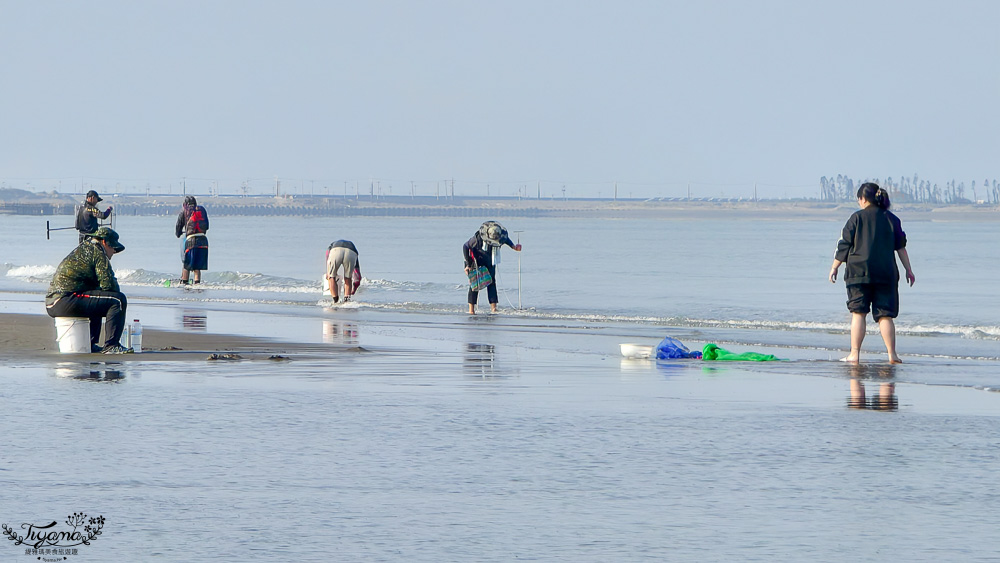 台南挖蛤蜊景點｜免費挖蛤蜊期間限定，台南北門雙春海岸線野生蛤蜊大爆發！！ @緹雅瑪 美食旅遊趣