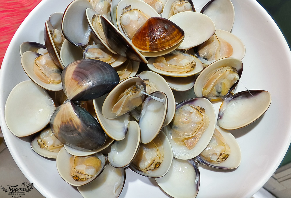 台南挖蛤蜊景點｜免費挖蛤蜊期間限定，台南北門雙春海岸線野生蛤蜊大爆發！！ @緹雅瑪 美食旅遊趣